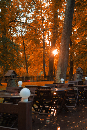 Wooden cafe in autumn park with sunset, toned photoの写真素材