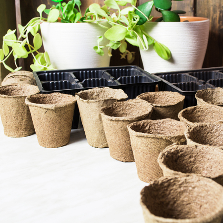 Pots for seeds ready for sprout ongrey background