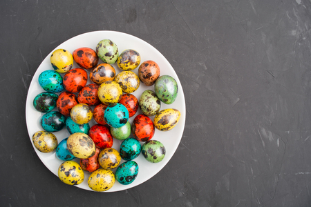 Colorful Easter quail eggs on white plate over grey background with copy space; flat layの写真素材