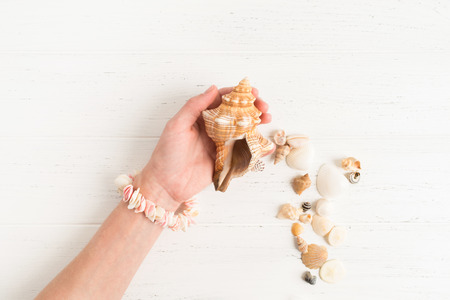Female hand holds a big shell on the white wooden background with copy space; flat layの写真素材