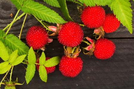 Healthy exotic red Tibetan raspberries, preventive measures for immunity with vitamins on wooden...