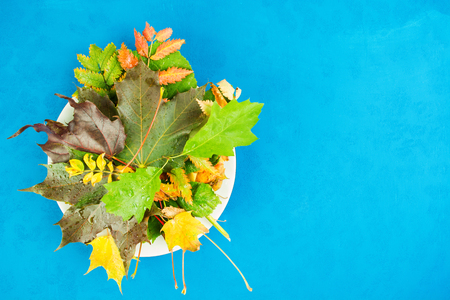 Autumn flat lay composition. Autumn still life on white plate over blue background with copy spaceの写真素材