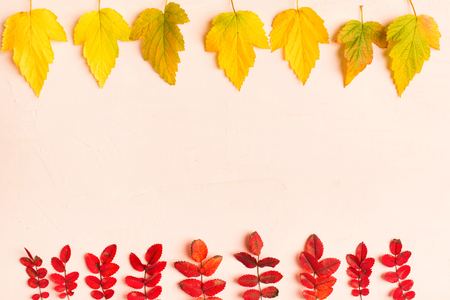 Autumn pink frame with yellow and red leaves, flat lay style with copy spaceの写真素材
