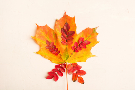 Autumn composition. Fall leaves texture design on pastel pink background, flat aly styleの写真素材