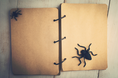Open notebook with spiders over white wooden table with copy space for halloween, overhead shot, toned photoの写真素材