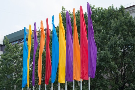 Colorful flags near green treesの写真素材