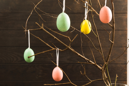 Colorful eggs on branches with dark wooden backgroundの写真素材
