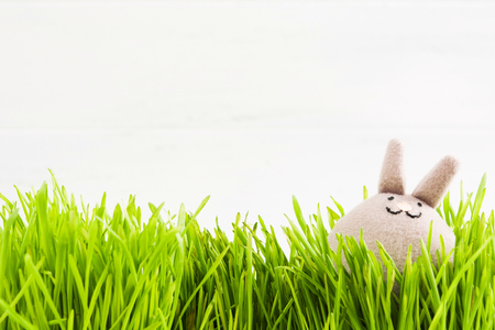 Funny textile grey rabbit in grass on white wooden background with copy space, selective focusの写真素材