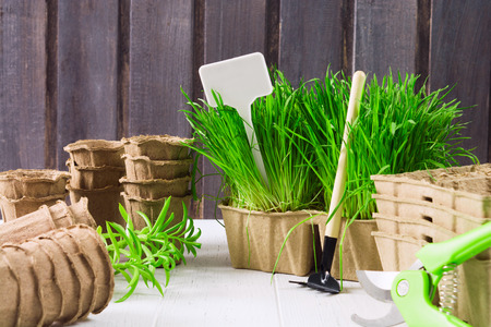 Spring gardening tools for seedling vegetables. Green grass, organic pots, label for text and empty area for text on wooden background. Copy spaceの写真素材