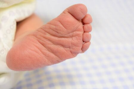 One newborn baby foot. Closeup view. Soft focus. Copy space. New life. Body part of childの写真素材