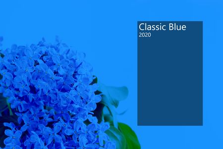 Mockup of classic blue background with trendy color of the year 2020. Copy spaceの写真素材