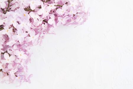 Flatlay with beautiful spring lilac flowers over white concrete background. Floral template for spaの写真素材