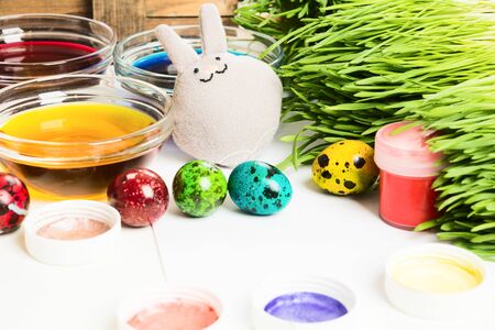 Easter traditional coloring eggs with quail eggs, paints, green grass like symbol of Easter hunt and rabbitの写真素材