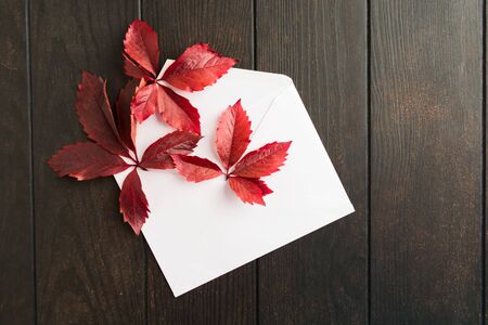 Autumn concept with white paper envelope with fresh red fall leaves of parthenocissus. Minimal autumn flat lay concept. Top viewの写真素材