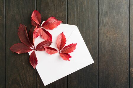 White envelope with autumn red leaves of Parthenocissus over brown wooden table. Flat lay. Season of fallの写真素材
