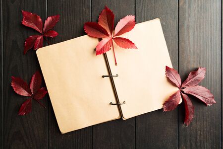 Empty open craft notebook with red atumn leaves of parthenocissus over brown wooden table. Copy space. Top view, flat layの写真素材