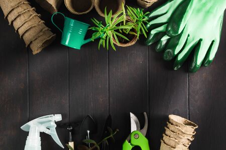 Gardening background with pots, gloves, pruner, sprayer and tools on dark wooden table. Soft focus on plantの写真素材
