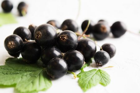 Closeup view of black currant berries with leaves on white textured background. Soft focusの写真素材