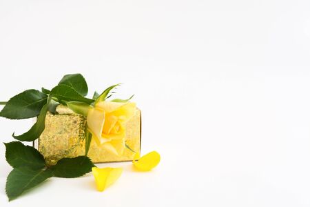 Single yellow rose with golden gift box over white background with copy space. Woman's day or Mother's day concept. Soft focusの写真素材