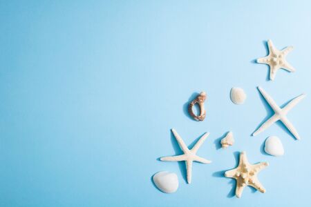 Sea shells and starfishes over blue background with copy space. Summer concept. Vacations design. Ocean border. Flat lay. Top viewの写真素材