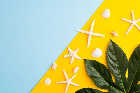 Summer concept with sea shells and stars and green leaf over yellow and blue paper like sand and sea. Top view. Flat lay with copy spaceの写真素材