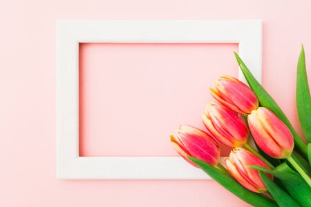 Beautiful spring bouquet of tulips with white wooden frame. Copy space. Flower holiday art design background. Empty space for text. Spring sale. Flat lay. Top viewの写真素材