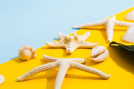 Starfish, shells over yellow and blue background. Summer vacation concept. Copy space. Mockup for travel and tourismの写真素材