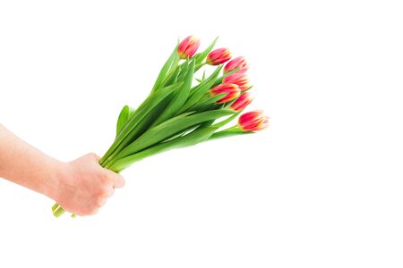 Man hand with bouquet of tulips on white isolaated background. Concept of Womans day, Valentines day, Mothers day and spring holidayの写真素材