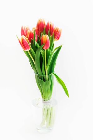 Beutiful bouquet of pink tulips in glass vase on white background. Vertical shot. Selective focusの写真素材