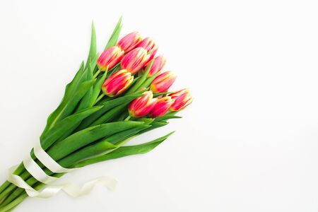 Beautiful spring bouquet of pink tulips flowers with white ribbon on white background. Flat lay. Copy spaceの写真素材
