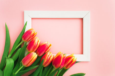 Beautiful pink and yellow tulips in bouquet over white backgroundの写真素材