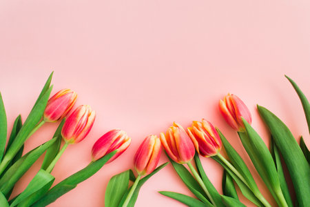 Beautiful pink and yellow tulips in bouquet over white backgroundの写真素材