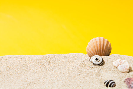 Sea shells on sand with yellow background with copy space. Closeup viewの写真素材