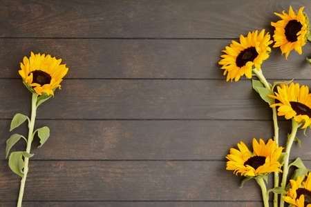Beautiful yellow sunflowers on wooden background with copy spaceの写真素材