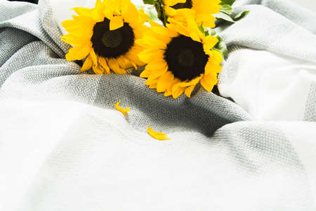 Beautiful bouquet of authentic yellow sunflowers on grey plaid. Closeup viewの写真素材