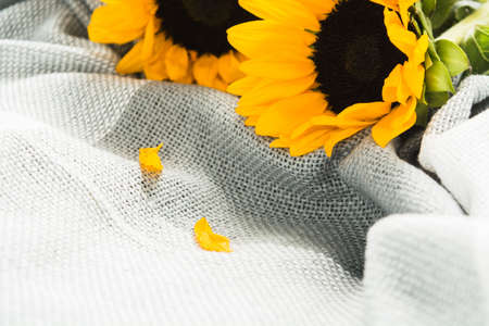 Beautiful bouquet of authentic yellow sunflowers on grey plaid. Closeup viewの写真素材