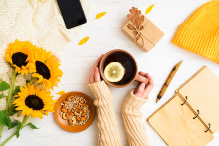 Cozy home concept. Autumn flat lay with female hands holding cup of teaの写真素材