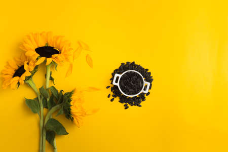 Sunflowers and Sunflower seeds in white ceramic bowl on yellow backgroundの写真素材