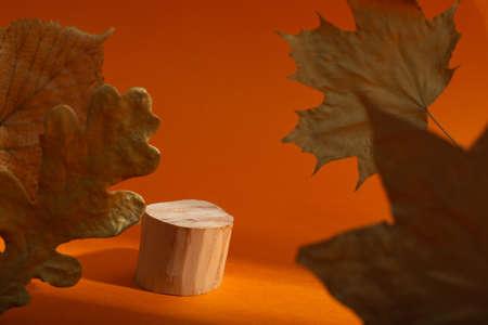 Empty cylindrical wooden podium with golden autumn leaves on orange backgroundの写真素材