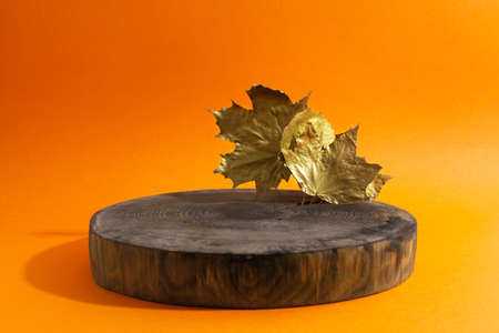 Empty showcase of wooden circle podium with golden autumn leaves on orangeの写真素材