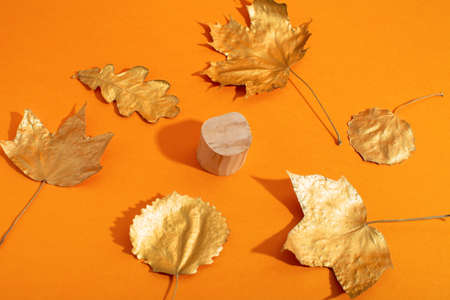 Empty wooden podium with cylinder shape and golden autumn leaves on orangeの写真素材