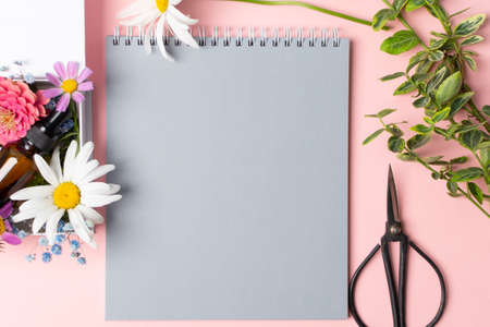 Herbs, flowers, scissors and notebook for making herbarium on pinkの写真素材
