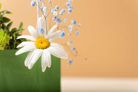 Paper bag with beautiful summer garden flowers and plants on beige backgroundの写真素材