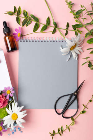 Herbs, flowers, scissors and notebook for making herbarium on pinkの写真素材