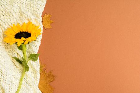 Fresh sunflower with autumn leaves on warm plaid over brown background. Flat layの写真素材