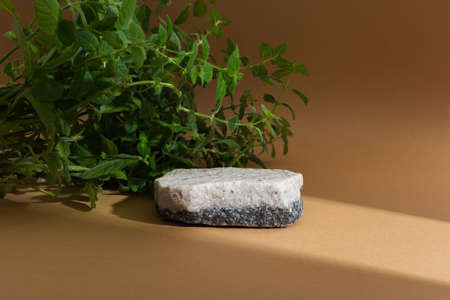 Stone podium with two colors on beige background with shadows. Mockupの写真素材