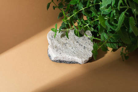 Stone podium with two colors on beige background with shadows. Mockupの写真素材