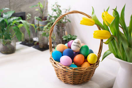 Colorful Easter eggs in wicker basket on table in kitchen interior with tulipsの写真素材
