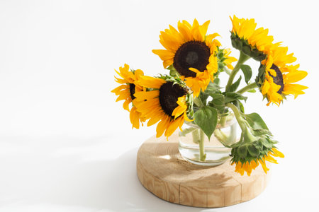 Bright sunflowers in glass vase on white backgroundの写真素材