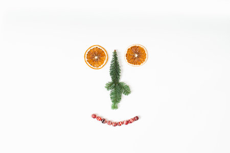 Funny face of Christmas decorations with dry orange, fir tree and candies on whiteの写真素材